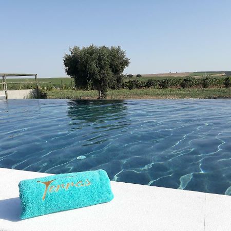 Terras - Agroturismo & Vinhos Бежа Екстер'єр фото