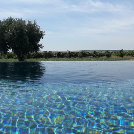 Terras - Agroturismo & Vinhos Бежа Екстер'єр фото