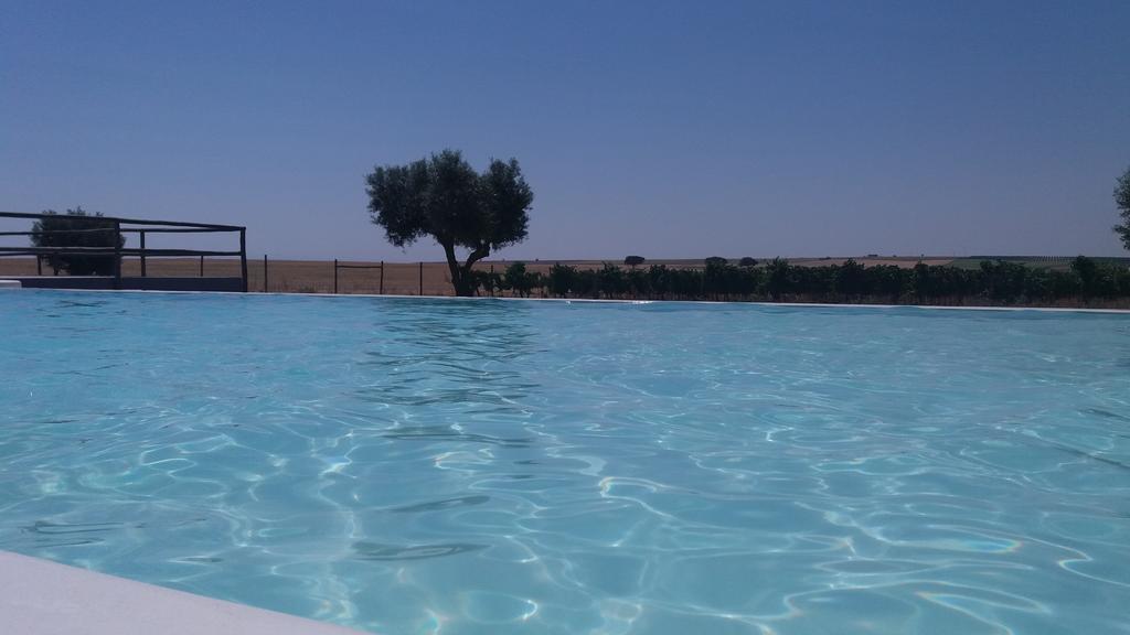Terras - Agroturismo & Vinhos Бежа Екстер'єр фото