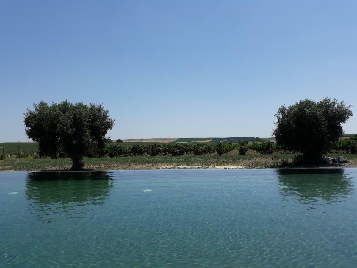 Terras - Agroturismo & Vinhos Бежа Екстер'єр фото